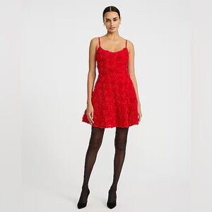 Express Scarlet Floral Mini Dress